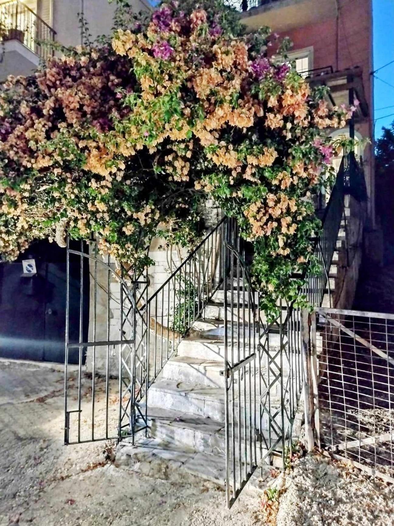 Corfu Pelekas Apartment 2 Exterior photo